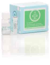 Mouse B Cell Isolation Kit