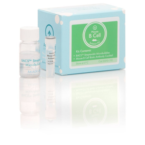 Mouse B Cell Isolation Kit